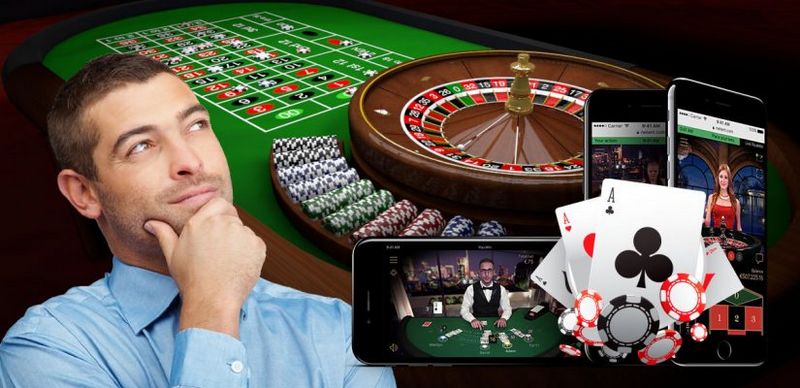 Complete Review of Wild Gambling Establishment